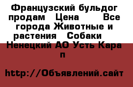 Французский бульдог продам › Цена ­ 1 - Все города Животные и растения » Собаки   . Ненецкий АО,Усть-Кара п.